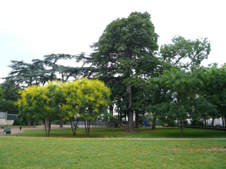 Parc Vaillant-Couturier, Villeurbanne.